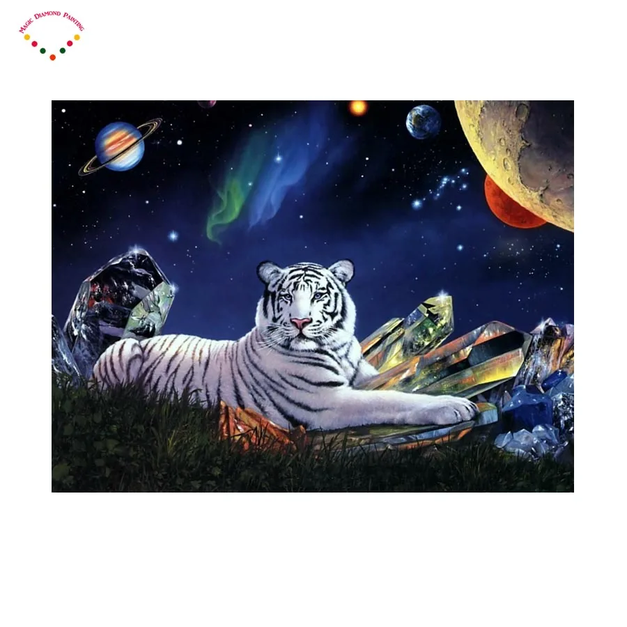 Download 460 Gambar Harimau Putih Full Hd Paling Bagus HD