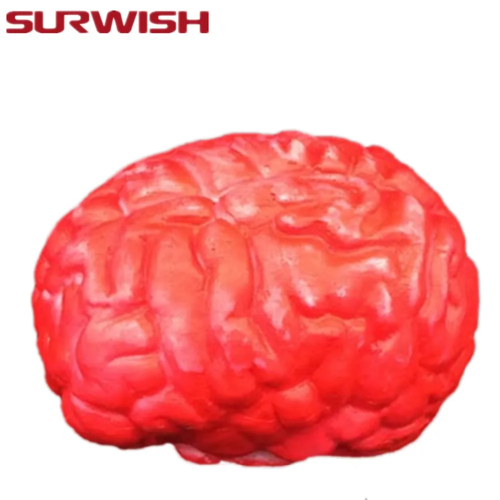 Buy SURWISH Horror Brain Halloween Scary Body Parts