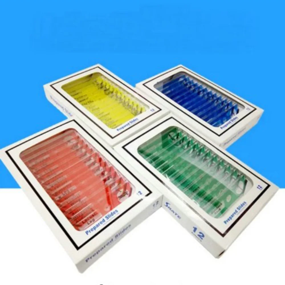 4box/lot Microscope Plastic Slides, Biological Specimen slides safe for