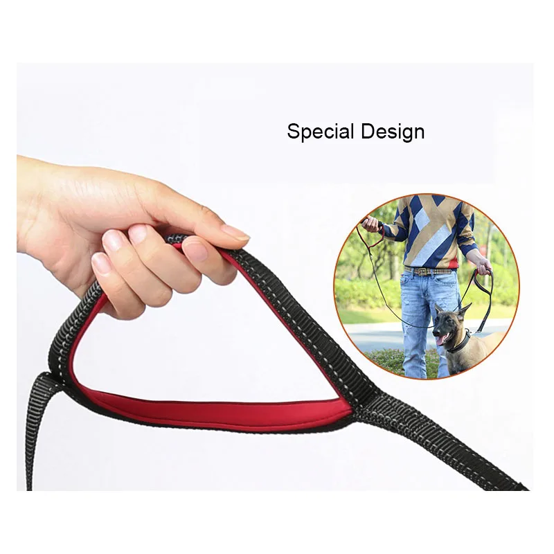 dog leash