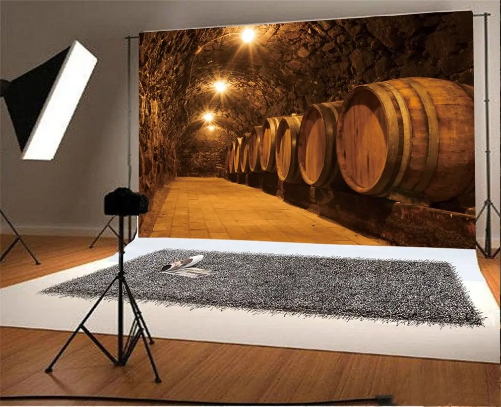 

Photography Backdrop Oak Barrels in the Tunnel of Tokaj Winery Cellar Hungary Photo Background