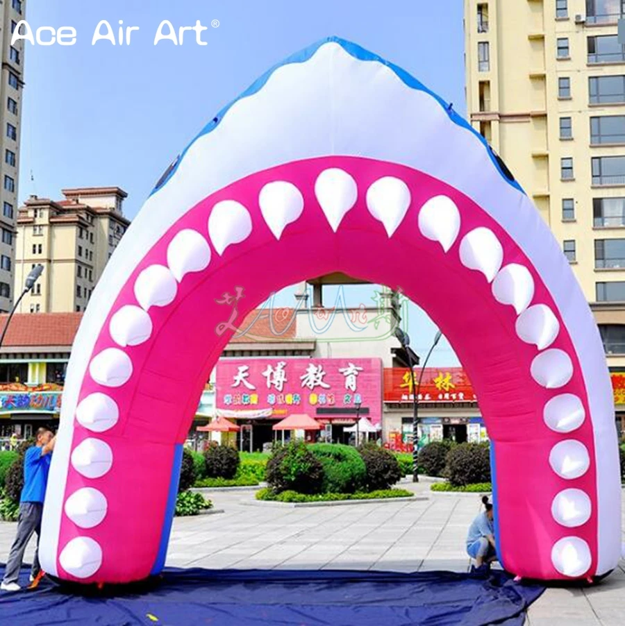 shark arch3_