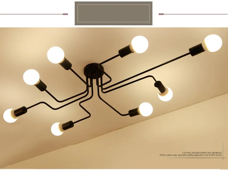 modern ceiling lamp (13)