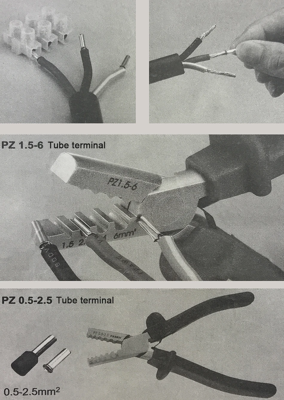 PZ