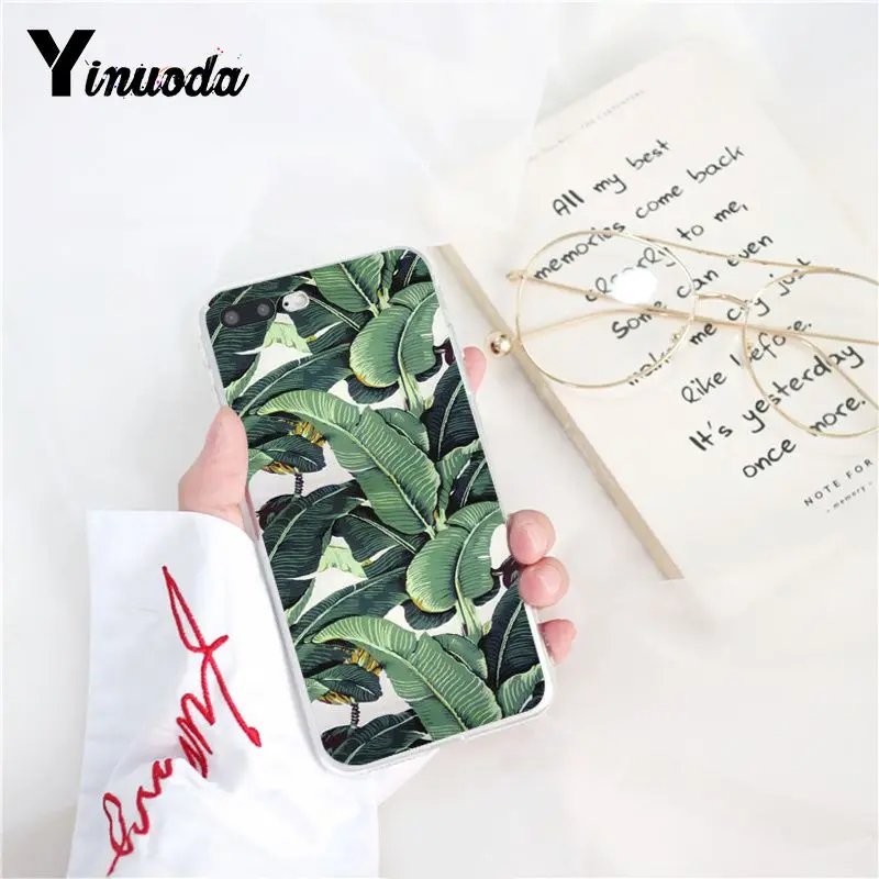 Tropical Plants Cactus Banana Leaves