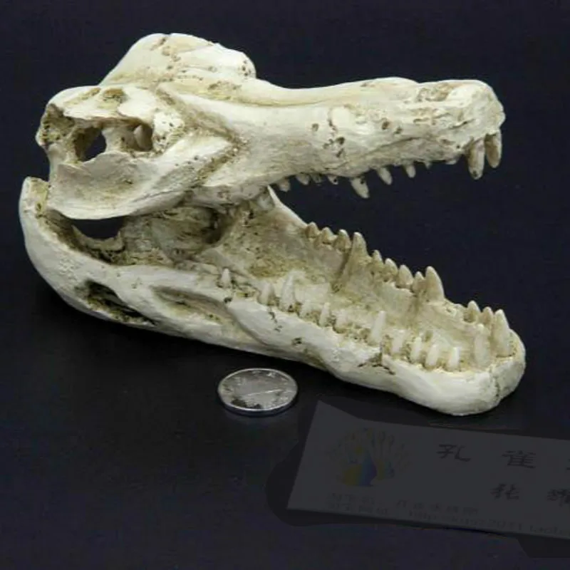 

Turtle Lizard Reptile Box Rainforest Desert Set Aquarium Landscape Dinosaur Crocodile Skull Aquarium Ornament Fish Tank Aquario
