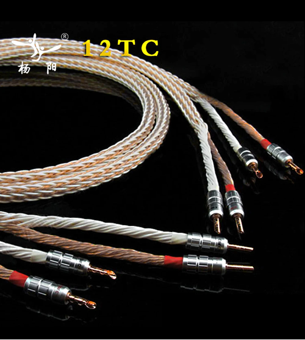 -12TC_02