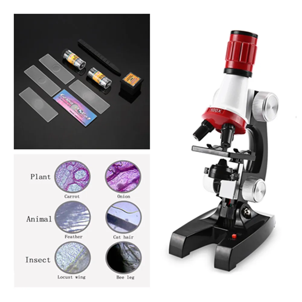 science hobby store