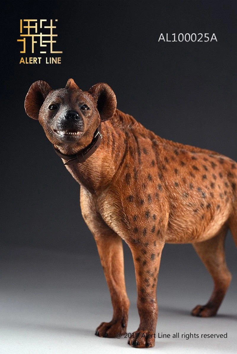 1:6 шкала AL100025 Crocuta собака с поводком игрушка для животных 12 дюймов фигурка сцены аксессуары коллекции