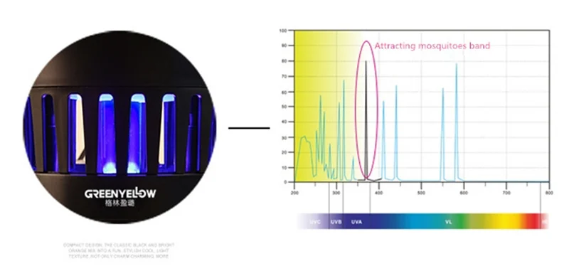 3073797005_1614622480