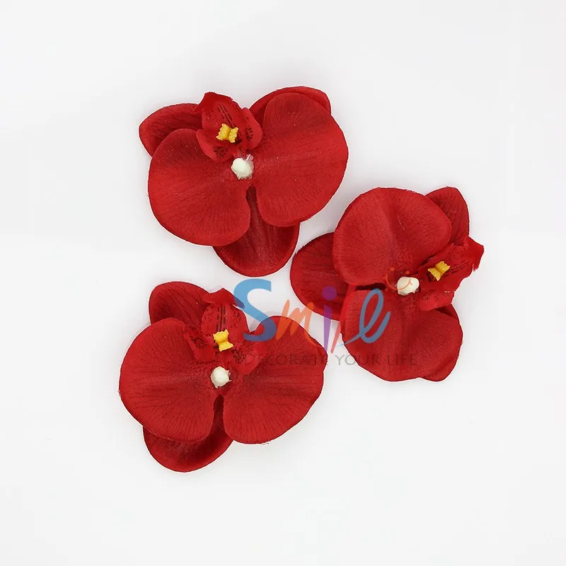 Red butterfly orchid Flowers 21