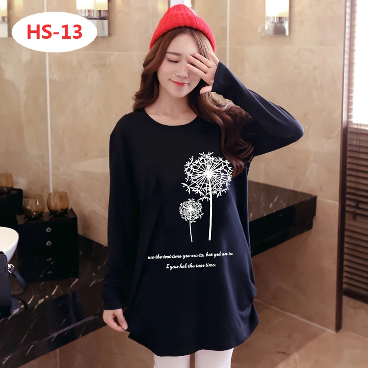HS-13