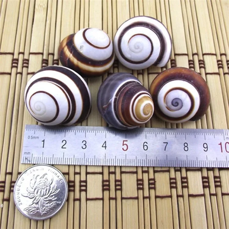 Brown bread screw01