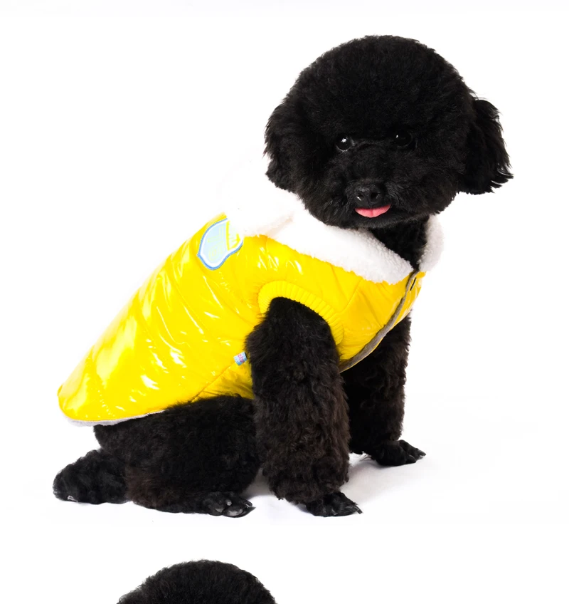 11 small dog clothes 