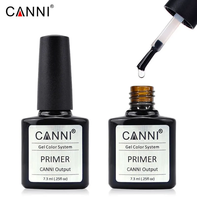 c-primer