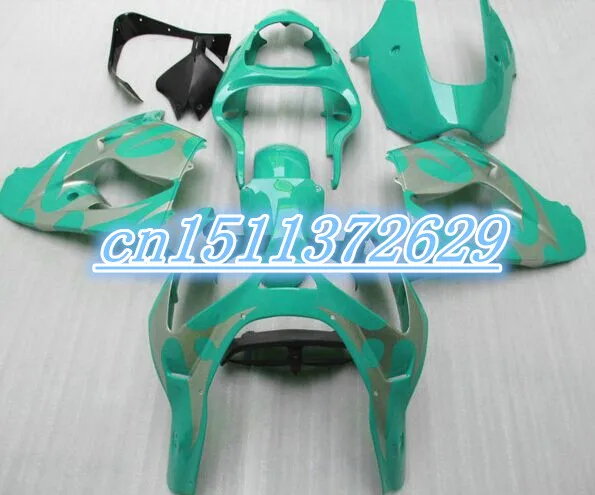 Dor-пламя средства ухода за кожей для KAWASAKI ZX9R ниндзя 2002-2003 ZX-9R зеленый ZX 9R 9 R ZX9 R 2002 2003 02 03 обтекатель самостоятельного ремонта D