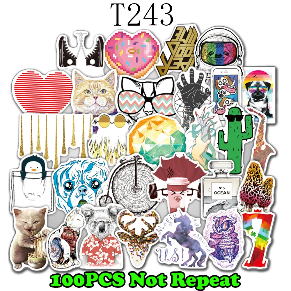 T243