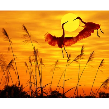 

Painting By Numbers DIY Dropshipping 50x65 60x75cm Sunset Crane Lovers Scenery Canvas Wedding Decoration Art picture Gift