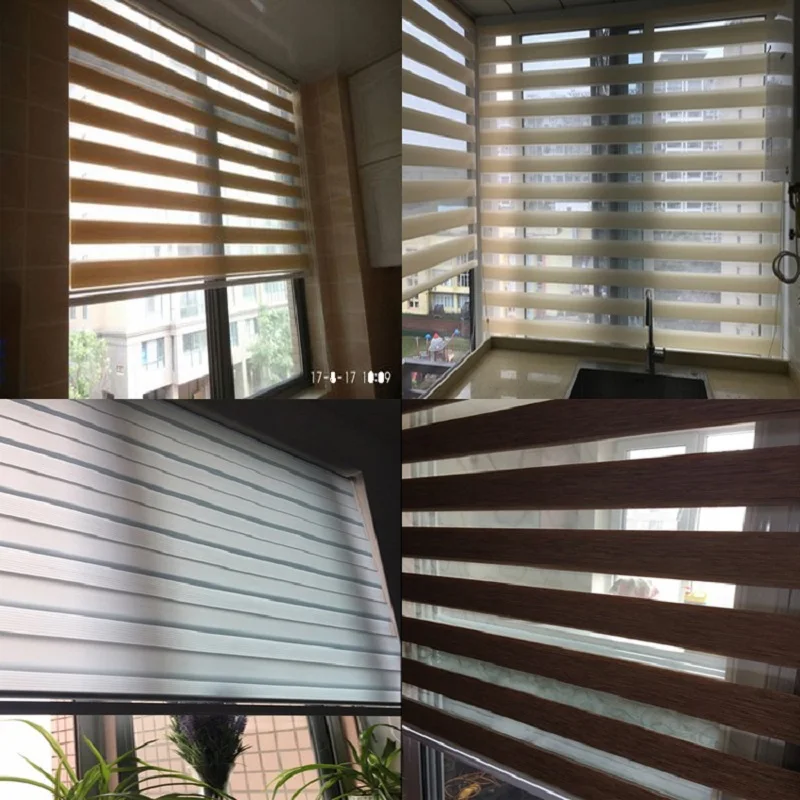 zebra blind 149