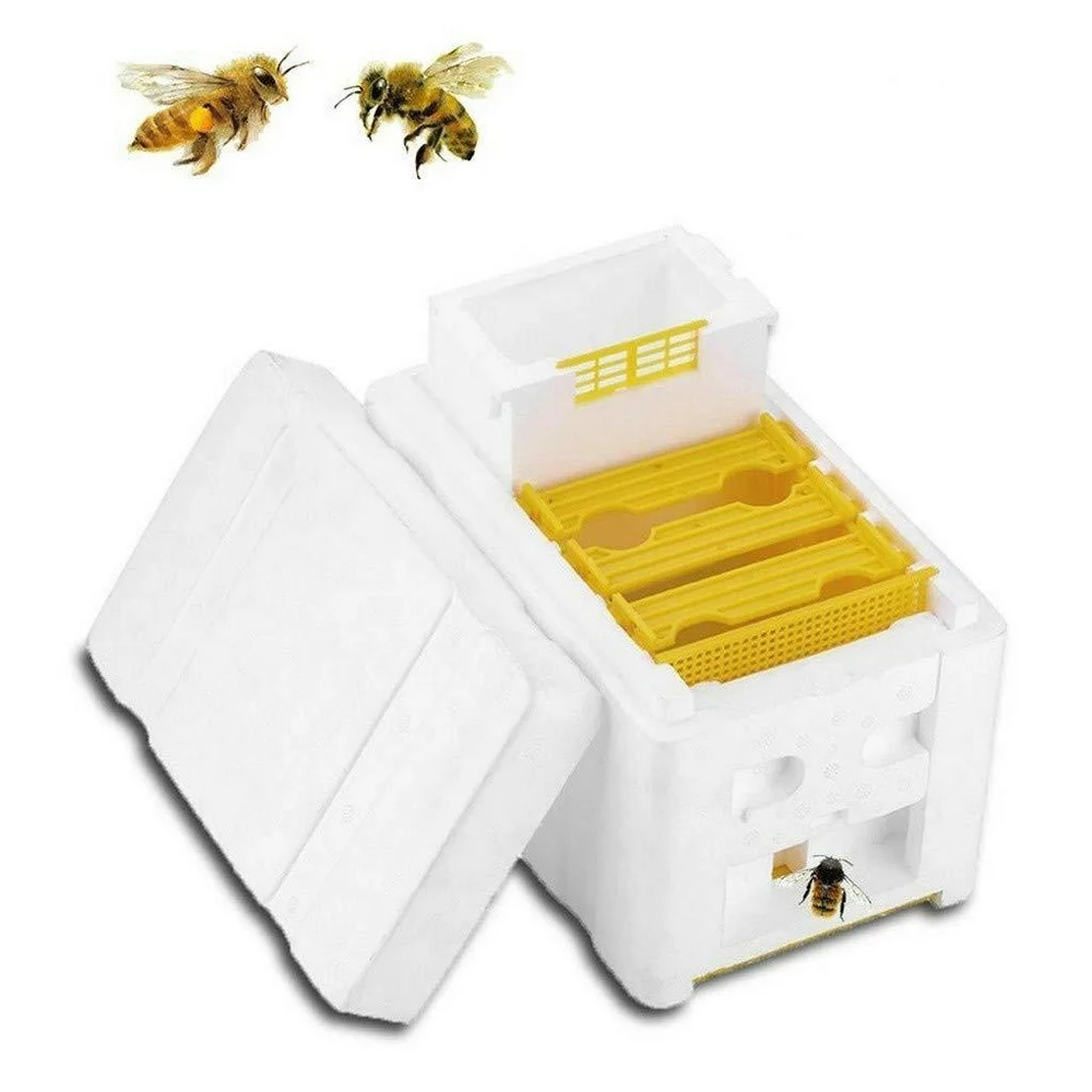 

Hive Foam Creative Frame Pollination Box Harvest Bee Hive Beekeeping Attract Honey Bee Honey Tool Size 24 x 14.8 x 16.5 cm
