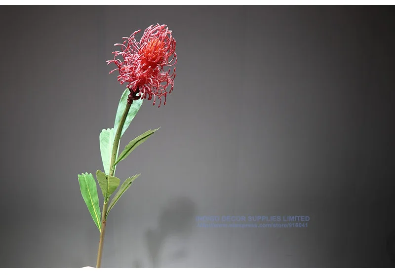 Индиго-3 шт. красный Leucospermum Cordifolium Гортензия Nutans цветок свадебные цветочные события вечерние цветы на стол