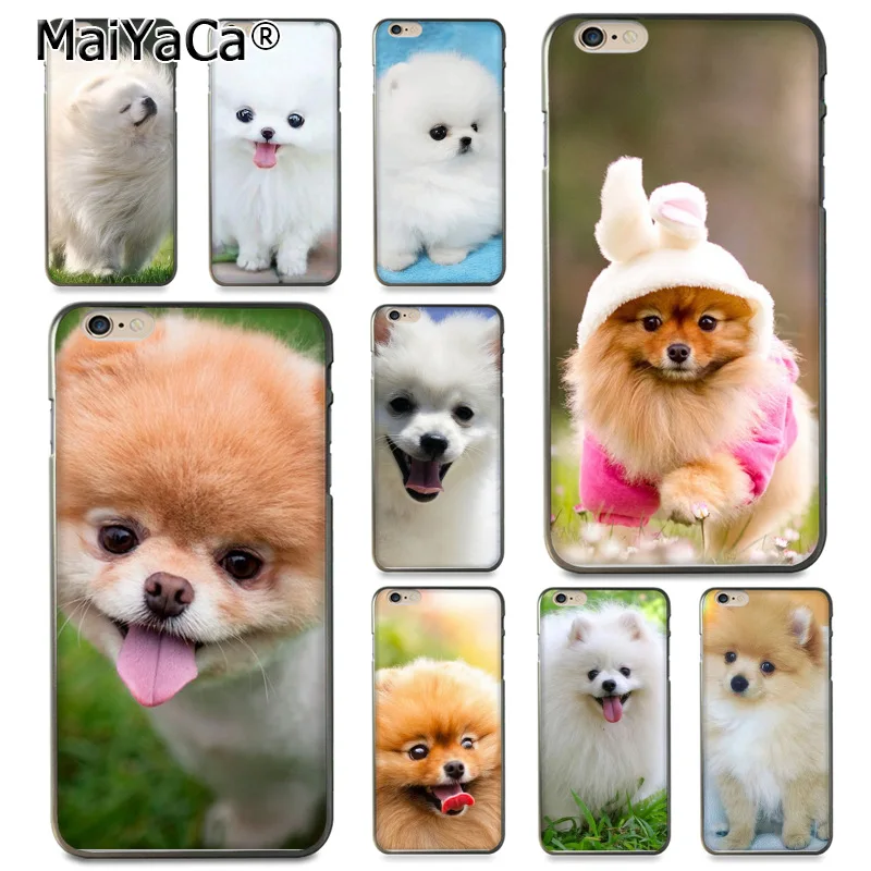 MaiYaCa Pomeranian dogs dog Colorful Cute Phone Accessories Case for Apple iPhone 8 7 6 6S Plus X XS XR XSMax 5 5S SE Cellphones MaiYaCa Pomeranian dogs dog Colorful Cute Phone Accessories Case for Apple iPhone 8 7 6 6S Plus X XS XR XSMax 5 5S SE Cellphones