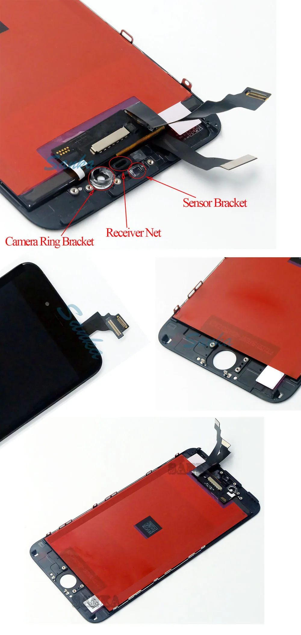 6plus 