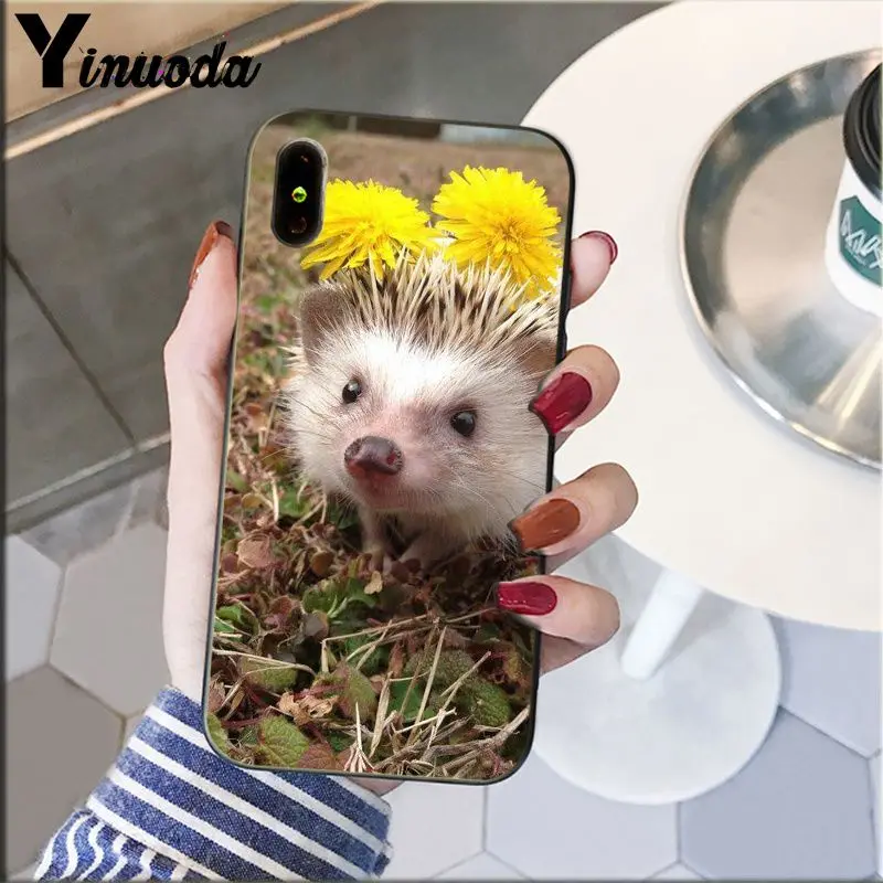 Hedgehog Cute in Teacup Animal Art