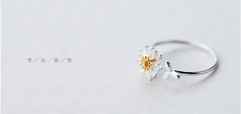 36020181123163035893