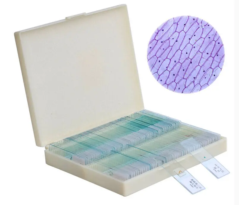 

100PCS Professional Glass Slice Prepared Microscope Slides Educational Specimen Human Tissue Sections with Plastic Box