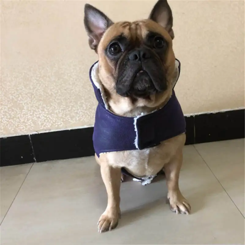 

Dog Clothes Classic Pet Dog Hoodies Clothes For Small Dog Autumn Coat Jacket for Yorkie Chihuahua Puppy Clothing