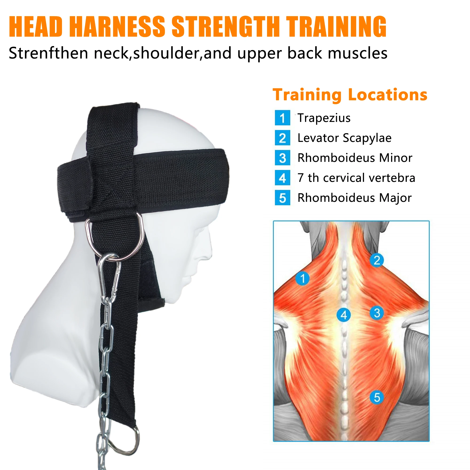  Head Neck Lifting Strap with Chain Adjustable Head Harness Neck Trainer for Home Gym Weightlifting 