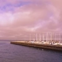 Yachts moored at a harbor  San Francisco Bay  San Francisco  California  USA Poster Print (18 x 7)