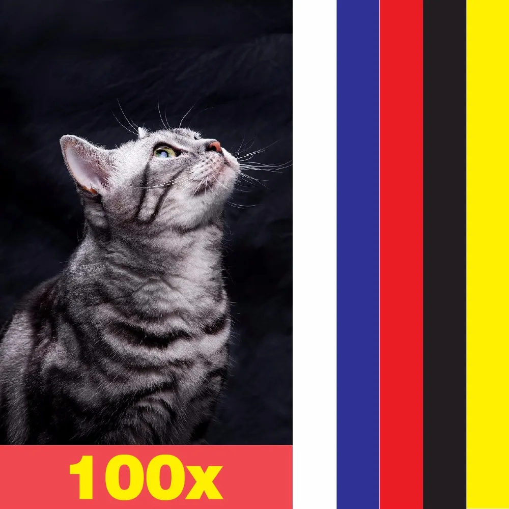 What is antitsarapki for cats, and how harmful they are What is antitsarapki for cats, and how harmful they are