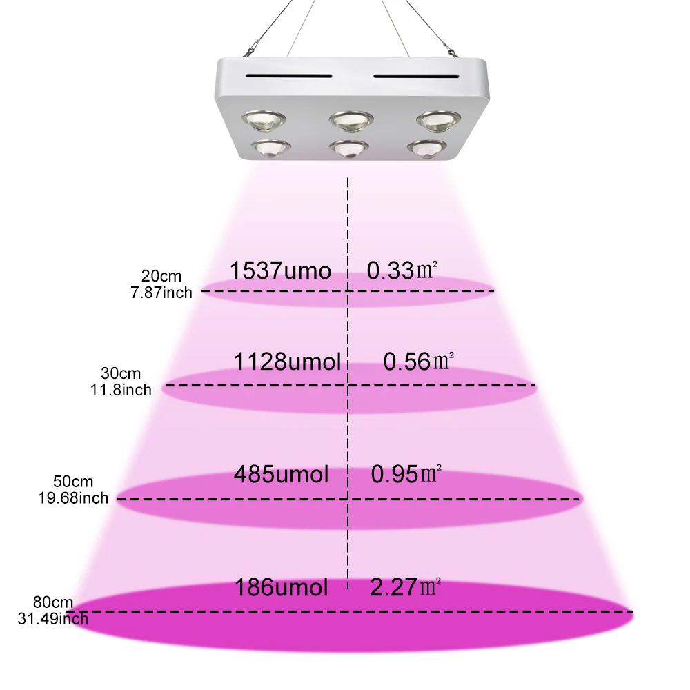 mini-D6_02