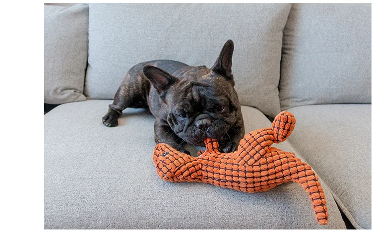 O1CN011okUxNNYCJxok9K_!!58305263