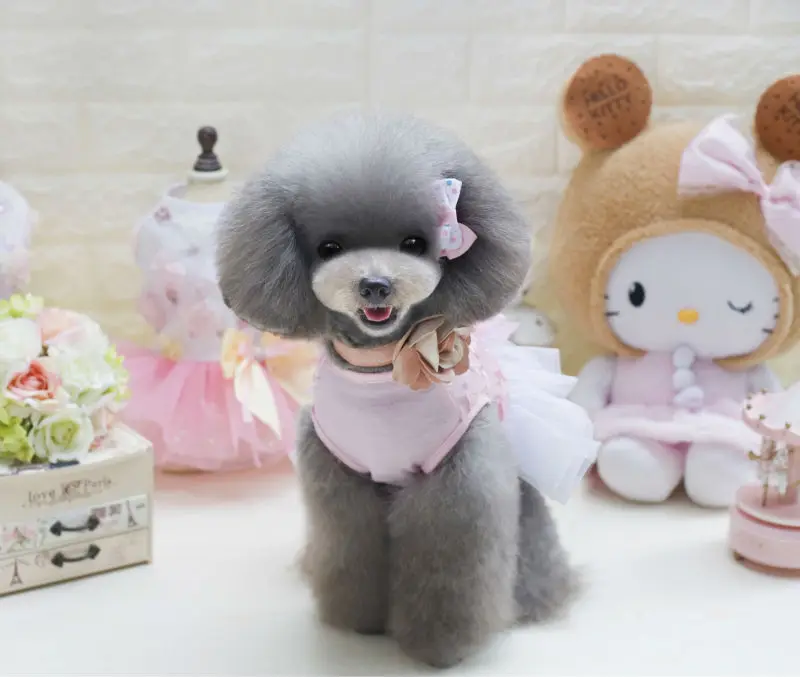 Y14_Lovely_Butterfly_pattern_dogs_Skirt_Summer_Pet_Dress_Puppy_dog_Cats_Princess_Bowknot_Floral_Tutu_Dress_for_Hiromi_ (9)