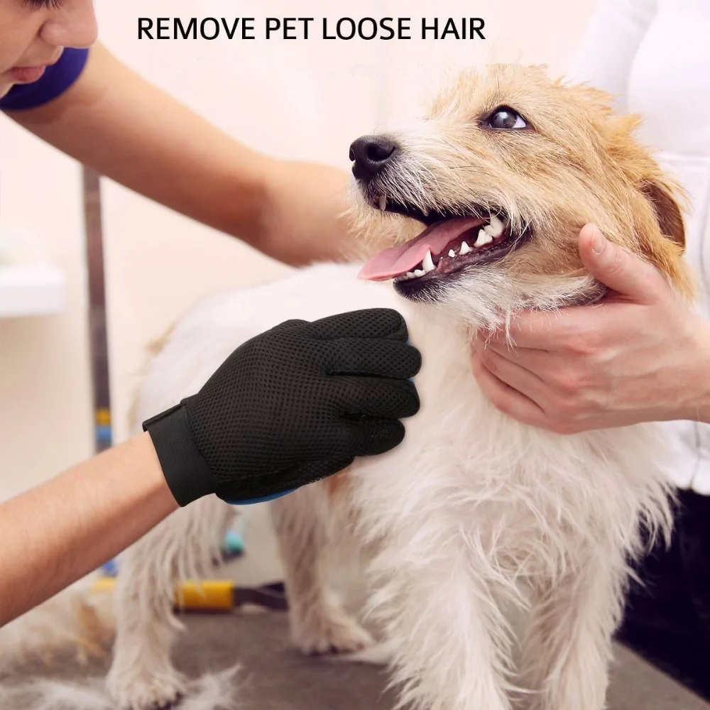 pet glove