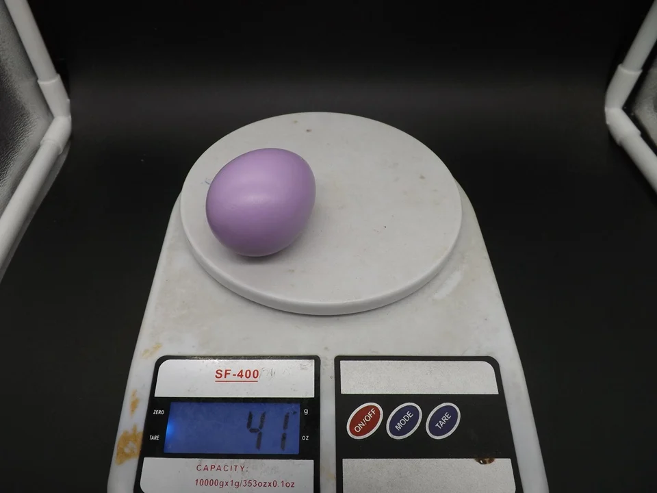 I433-Egg (13)
