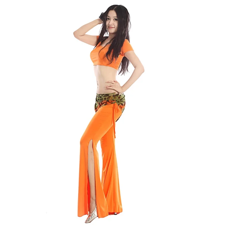 

Belly dance set mini top short-sleeve animal print mesh collar top culottes dance