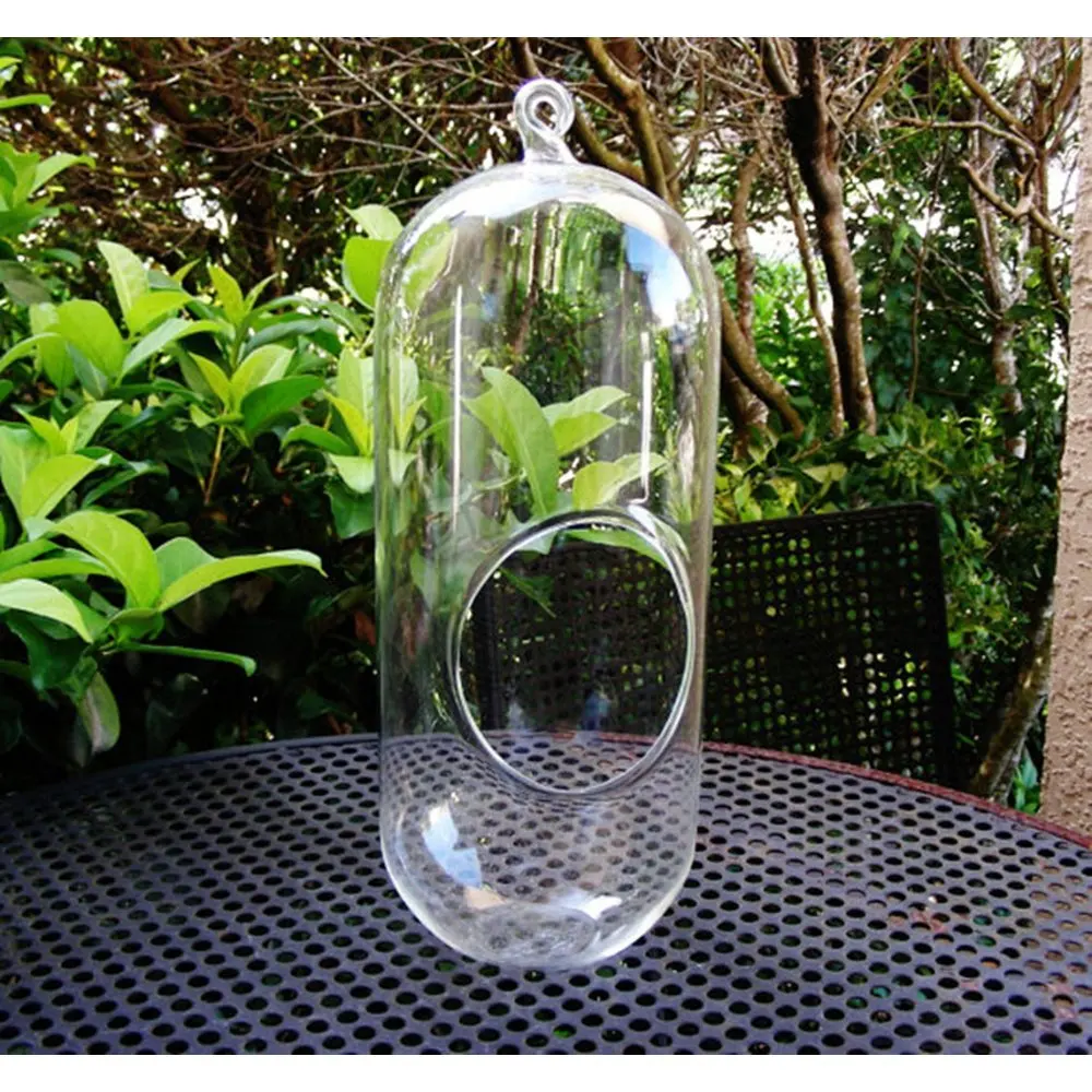 Compare Prices On Large Terrarium- Online Shopping/Buy Low Price Large Plant Terrarium 12