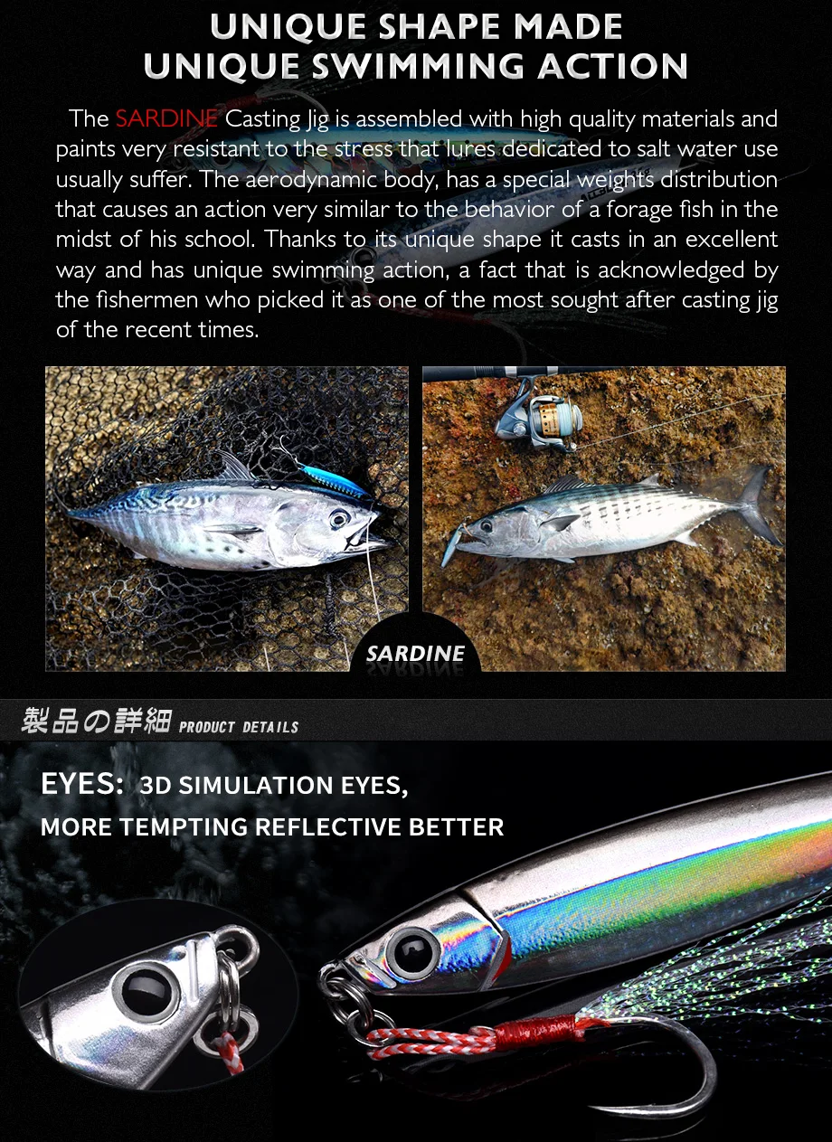 SARDINE_02