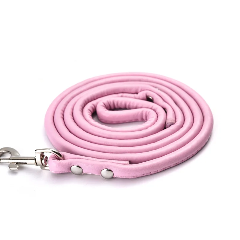 9704666520_423646838