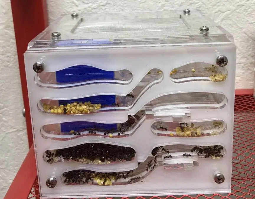 ant-housing (1)