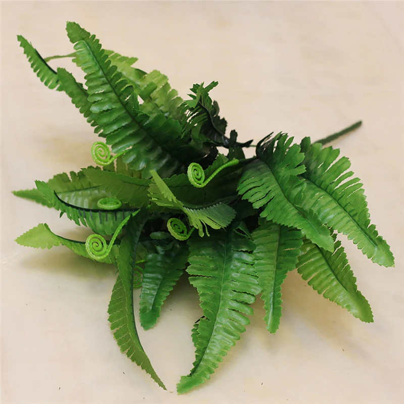 plant-3