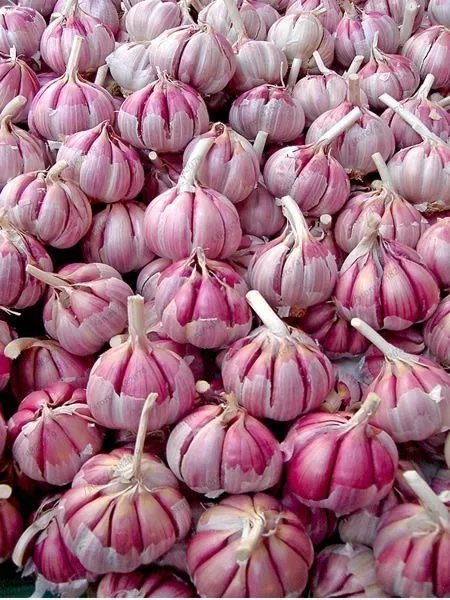 

100Pcs Garlic Bonsai Red And Healthy Bonsai Diy Plant Rare Onion Garlics Vegetable Bonsai Very Easy Grow For Home Garden