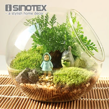 

1PCS Oblique Spherical Glass Vase Flower Hydroponic Fleshy Micro Landscape Glass Bottle Moss Home Decoration