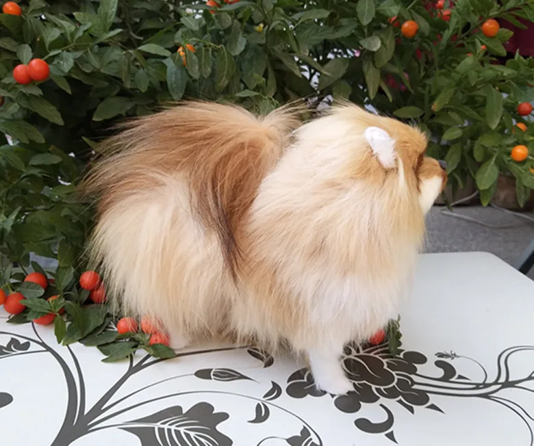 Cerca de 23x20.5x9cm Nova Simulação Brinquedo Polietileno & Peles Cor Natural Pomeranian Boneca Presente 1185 Cão 3 simulation dog