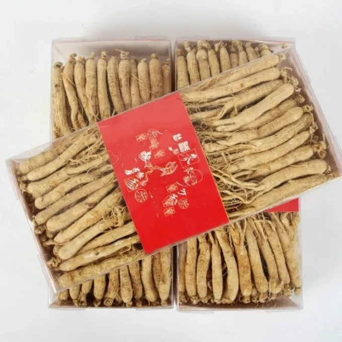 

Changbai Fresh / Dry Ginseng Root tablets 250-500g of Vacuum Pack Panax ginseng Root Herbal skin care beauty use 75-100pcs