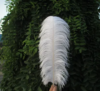 

wholesale hard rods natural 200 pcs/lot 16-18 inch 40-45 cm" white fluffy Ostrich Feather Plume wedding decoration